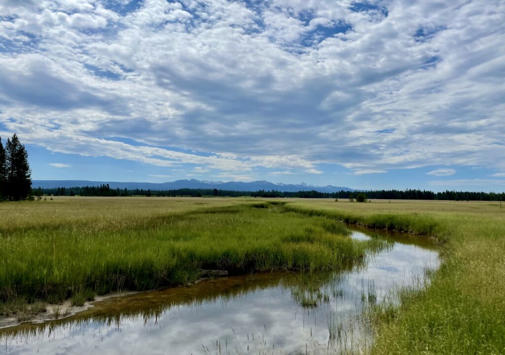 Wyoming landscape, with cloudy sky and stream running through grass