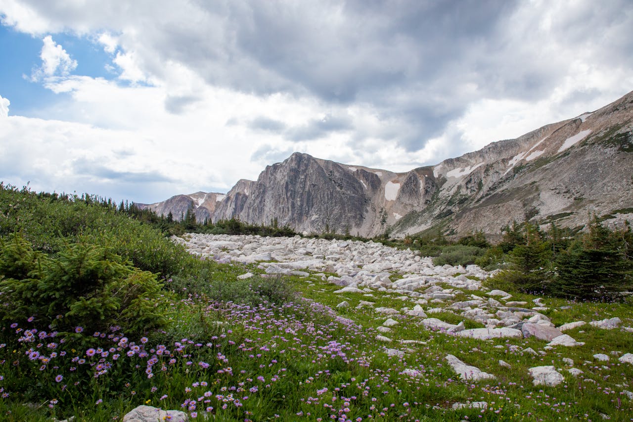 Pexels photo of Medicine Bow National Forest in Laramie, Wyoming. 