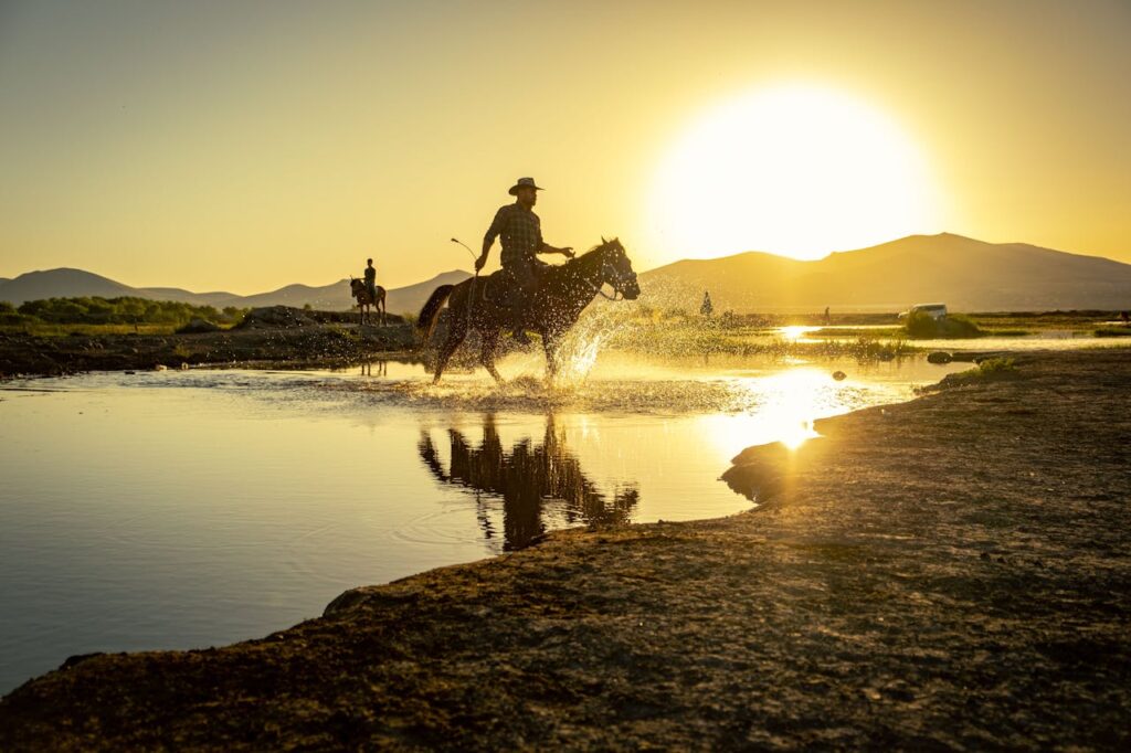 Silhouette of cowboy riding a horse splashing through water with a golden sunset